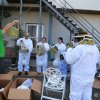 beekeepers suits